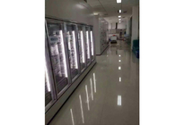 Cửa kho lạnh / Cửa kính cho tủ đông y tế