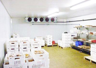 Copeland Compressor Kho lạnh cho thịt chế biến hải sản 1 năm bảo hành